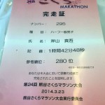 2014-03-23_sakura_marathon